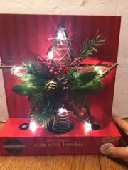 Tree Topper Star With Berries 10micro LED lights-Brand New-Ships N 24 Hours
