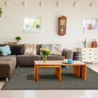 在飛比找momo購物網優惠-【Ambience】比利時Hampton 平織地毯#9001