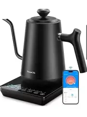 GoveeLife Smart Electric Gooseneck Kettle with LED Display, WiFi Kettle with 5 V