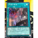 有點名 遊戲王 日紙 RC04-JP063 天底的使徒 亮面