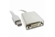Mini DisplayPort Male - DVI Adapter Female [MINIDPM-DVIF]