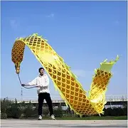 Dragon Dance Silk 19.6 FT (6 Meters) Square Exercise Dance Dragon Poi With 3D Dragon Head & Swing Rope Combo, Chinese Wulong Flowy Dragon Ribbon Streamer Outdoor Fitness Golden Dragon Stage Prop Set (