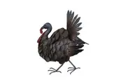 Willow & Silk Hanging Metal 47x37cm Mrs Turkey/Bird/Animal Wall Art/Home Decor