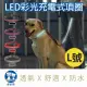 【美好寵商】DOGNESS多尼斯 LED彩光系列項圈-L號 (4色)