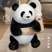 在飛比找樂天市場購物網優惠-可愛熊貓玩偶網紅萌蘭大熊貓長毛毛絨填充公仔沙發抱枕娃娃