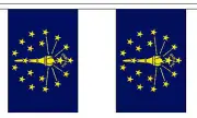 INDIANA U.S. STATE 3 metre BUNTING 10 FLAGS flag USA AMERICA AMERICAN