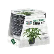 Mr Fothergill's House Plant Grow Kit - Umbrella Tree
