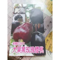 在飛比找蝦皮購物優惠-大果黑玫瑰櫻桃苗☆定價70元