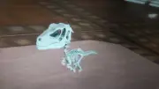Ark Survival Ascended PVE Skeleton Raptor Chibi Unleveled