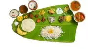 Disposable Banana Leaf Dinner Paper Plate- ( Set of 50 )Bio Degradable