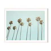 Palm Drive Framed Printed Wall Art - White