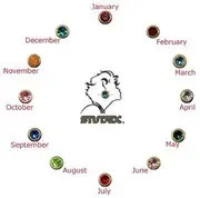 [STUDEX] Ear Piercing Bezel Birthstone Earring Stud Assortment Regular, 12 Count (Pack of 1), Stainless Steel, Cubic Zirconia