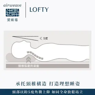 【airweave 愛維福】LOFTY 枕工房 雙面快眠枕(百年專業睡枕品牌 透氣可水洗 支撐力佳 分散體壓)