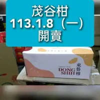 在飛比找Yahoo!奇摩拍賣優惠-東勢茂谷柑禮盒 5台斤23、25、27、30，含運價 113