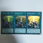 遊戲王 遊戲王卡 SR面閃 墮天使的追放 日本直送 二手