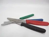 在飛比找Yahoo!奇摩拍賣優惠-【御風小舖】日本製 SUNCRAFT  川鳩 鋸齒刀 水果刀