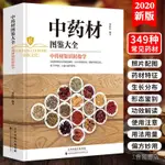 台灣出貨#中藥材圖鑑大全書籍 中醫書籍大全中草藥材百科圖鑑養生調理中醫基礎理論醫學類書籍搭黃帝內經全集李時珍本草綱目 中