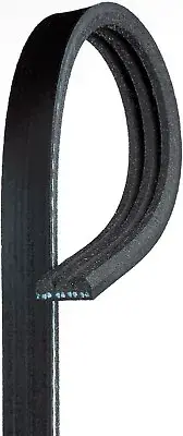 For 2004 Fiat Palio 1.6L Serpentine Belt Gates 159DE76 (for: Fiat)