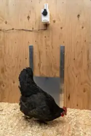 Heavy Duty Automatic Chicken Coop Door Opener Timer Operated (Complete) Made USA