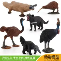 在飛比找蝦皮購物優惠-✌限时熱銷✌仿真野生動物模型6件食蟻獸鴯鶓鴨嘴獸大幾維鳥飛禽