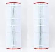 Unicel C-9419 Replacement Filter Cartridge, Predator/Clean & Clear (2 Pack)