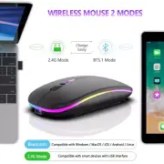 wireless Mouse Bluetooth and 2.4GHz Dual Modes Rechargeable RGB Ergonomic