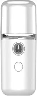 TEUOPIOE Portable Mist Sprayer Face Humidifier USB Rechargeable Handy Skin Care Machine for Face Hydrating Daily Makeup(white)