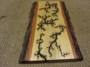 High Voltage Wood Slab Art Electrocuted Burned Wall Hangings Fractal Decor 10848