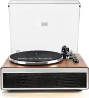 Vinyl Record Player with Built in Stereo Speakers Bluetooth Turntable for Vi..