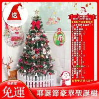 在飛比找樂天市場購物網優惠-熱銷免運 聖誕樹耶誕樹 豪華聖誕樹套餐 0.6米1.2米1.