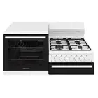 Westinghouse Elevated Natural Gas Conventional Oven/Stove WDG110WCNG-L