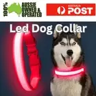 USB Rechargeable LED Dog Collar Nylon Glow Flashing Light Up Safety Collar RED
