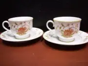 Footed Tea Cup & Saucer 2 Sets - Hofgarten by NORITAKE