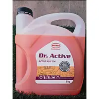 在飛比找蝦皮購物優惠-Dr.active Car Wash Solution