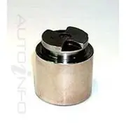 IBS Disc Caliper Piston - DB7316