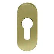 Austyle Oval Euro Escutcheon Concealed Fix 70x30mm