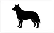CafePress Australian Cattle Dog Rectangle Car Magnet