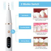 Electric Ultrasonic Dental Calculus Tooth Cleaner Scaler Plaque Remover Tool cde