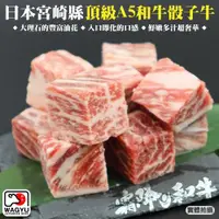 在飛比找ETMall東森購物網優惠-海肉管家-日本宮崎縣頂級A5和牛骰子牛3包(約120g/包)