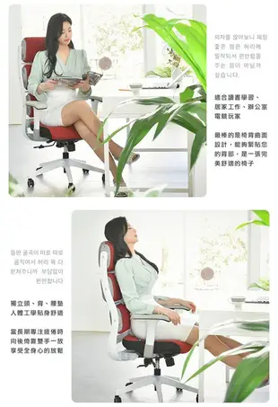 【DonQuiXoTe】韓國原裝X5健康紓壓高背辦公椅(黑框)-紅布