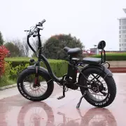 1000w/48v Two Seater Fat Tire Folding Electric Bicycle Ebike Scooter NEW