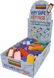 Esselte Key Tags Bx 100 Asst