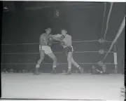 Rocky Castellani And Contender Boxing 1955 Old Boxing Photo