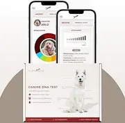 Etalon Diagnostics AlphaDog DNA Behavioral Traits & Breed Composition Analysis Kit with Personalized Marketplace Access – Canine DNA Test for Breed Identification, Behavior Insights & More