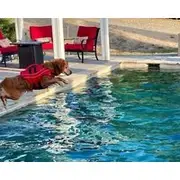 Private Rv Views, Near Wineries, Pets, Temecula