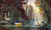 Ceramic Tile Mural Backsplash Binks Wood Ducks Wildlife Lodge Art REB019