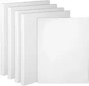 Canvas Boards, Set of 5, Primed White Blank Canvases for Drawing & Painting, Aci
