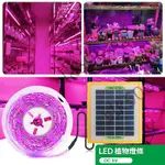 【SK精選】太陽能 LED植物生長燈 全光譜 補光燈 植物燈 太陽能燈 臺灣出貨