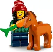 LEGO Series 22 Minifigures 71032 HORSE GROOMER NEW UNOPENED RETIRED Ship w Track