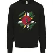 Torn Dominica Flag Dominican Day Football Kids Sweatshirt Jumper